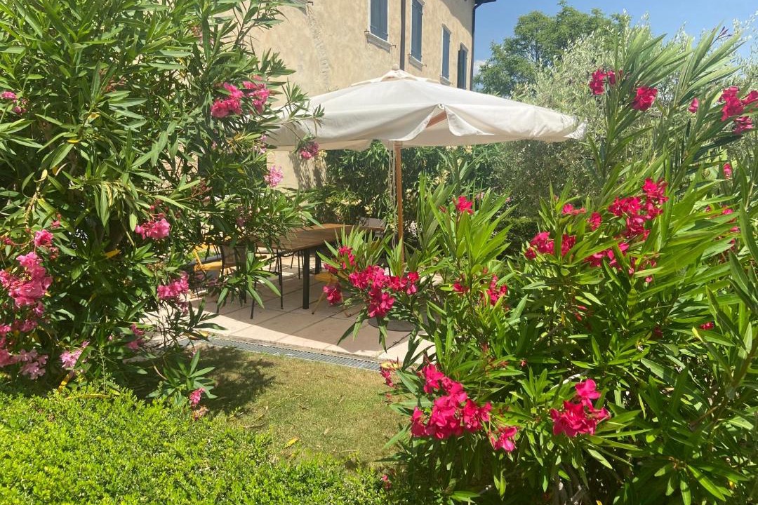 Photo of Buildings in Costermano