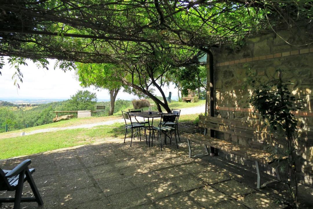 Photo of Outdoor in Paciano