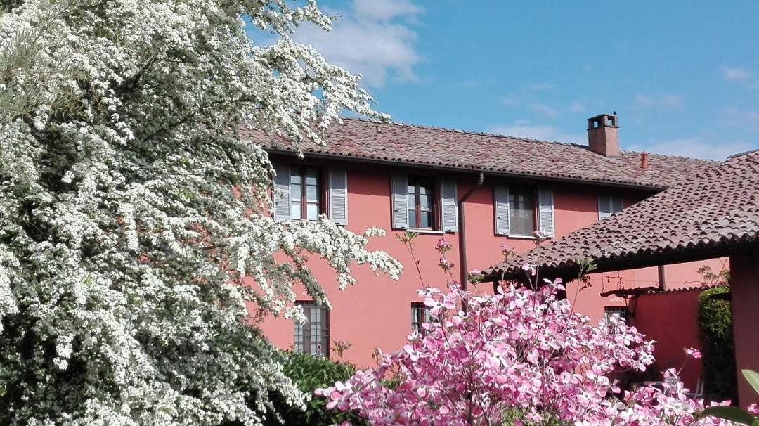 Photo of Others in Pavia