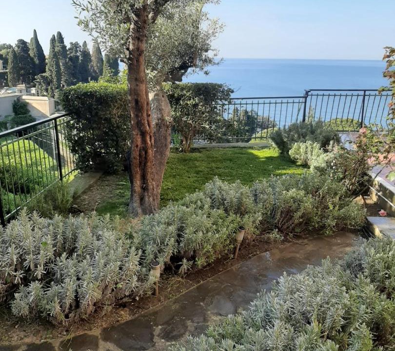 Photo of Others in Recco