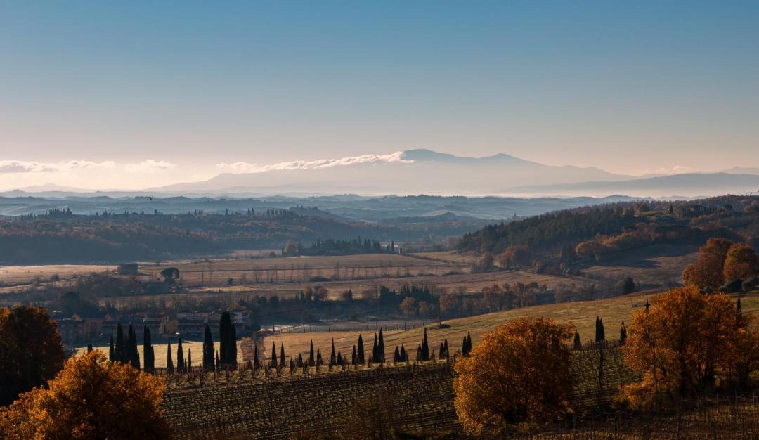 Photo of Others in Castelnuovo Berardenga