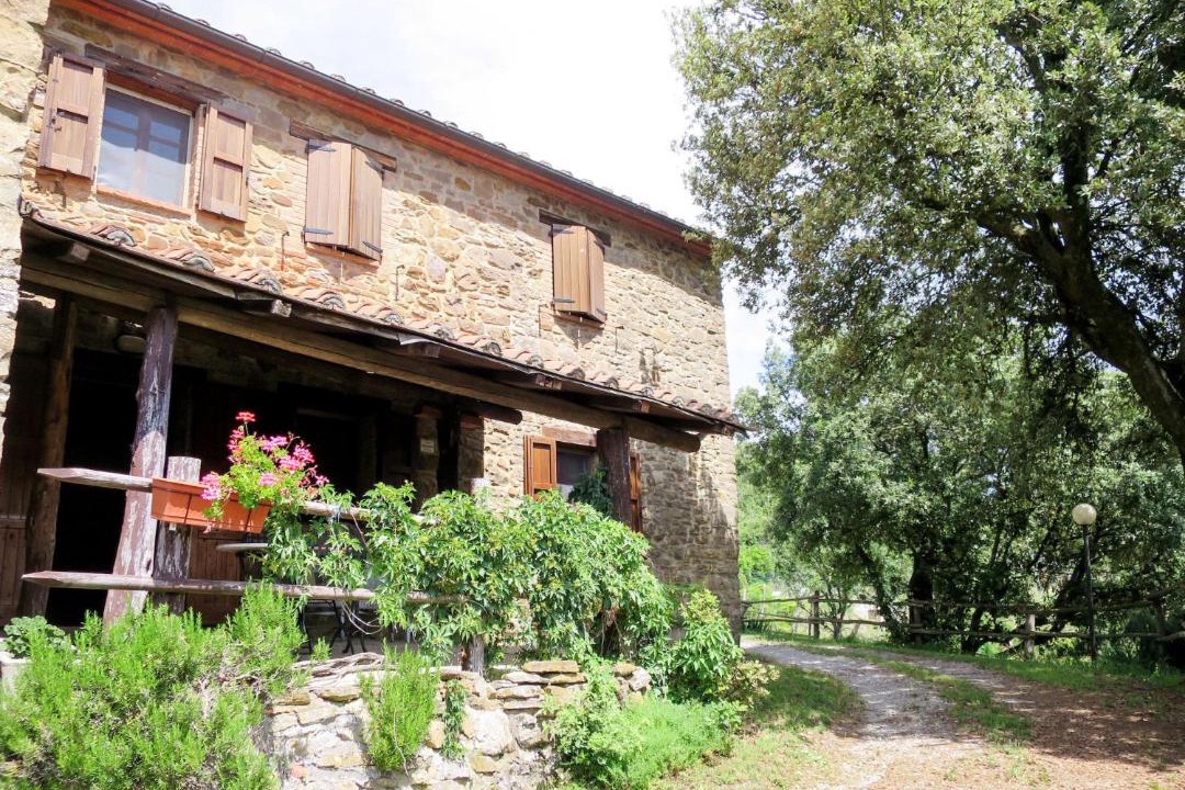 Photo of Buildings in Paciano