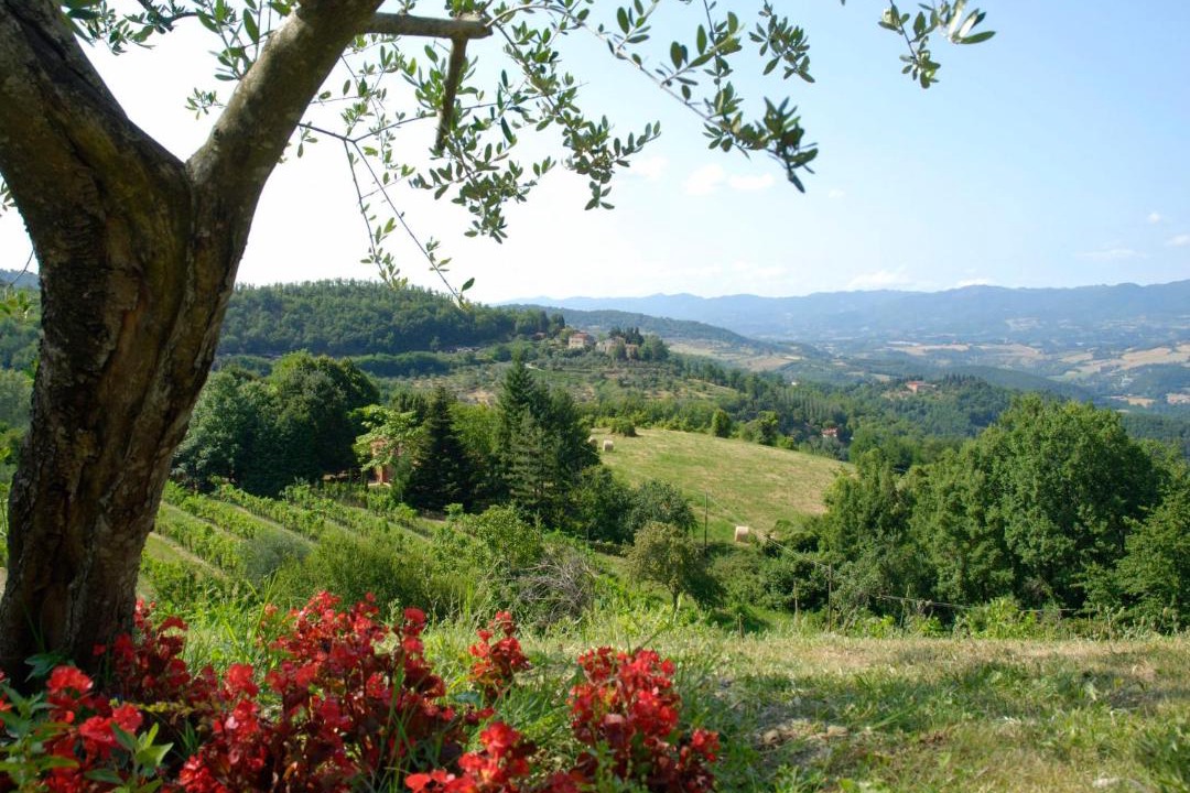 Photo of Others in Dicomano