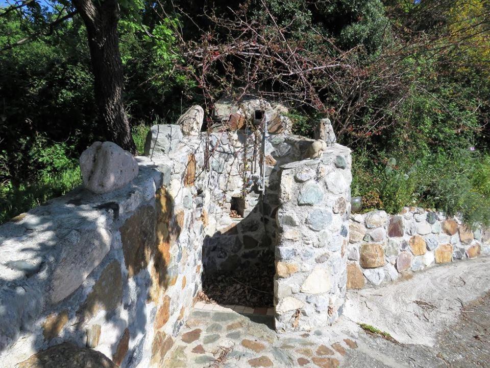 Photo of Others in Falerna