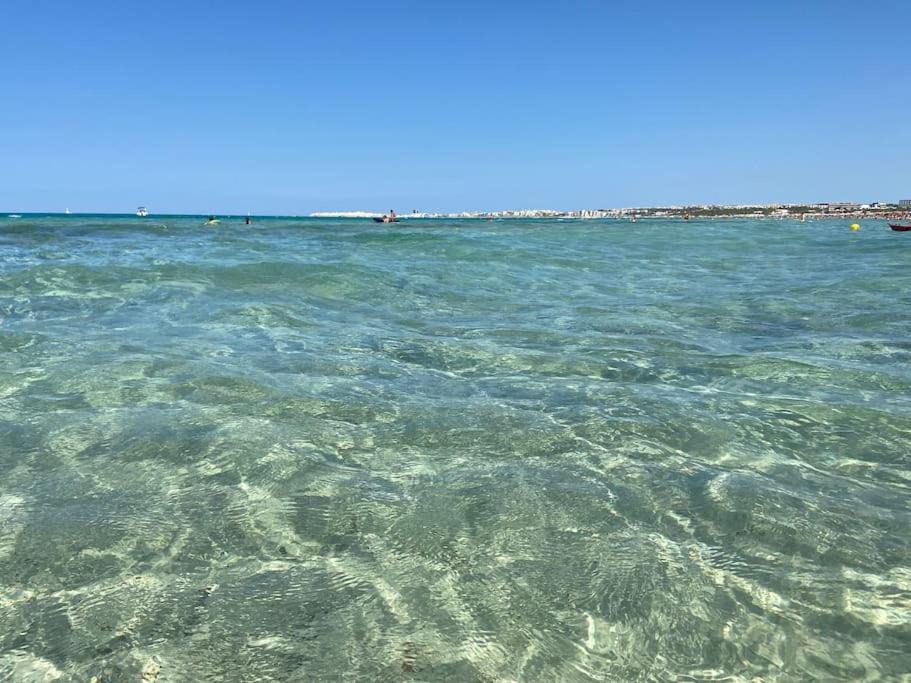 Photo of Outdoor in Taviano