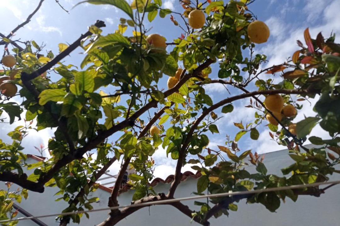 Photo of Outdoor in Capo Mannu