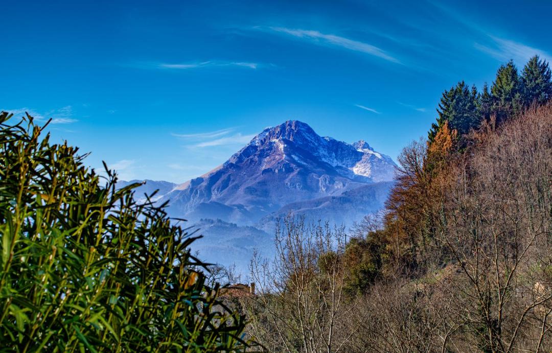 Photo of Others in Barga