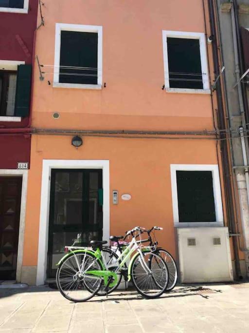 Photo of Others in Chioggia