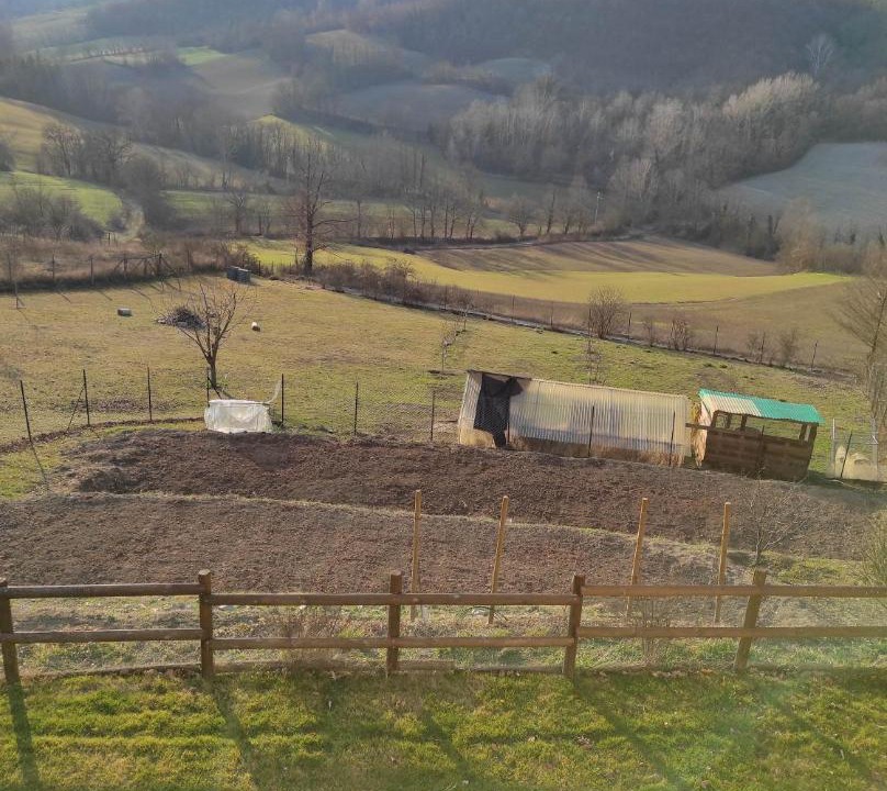 Photo of Others in Cecima