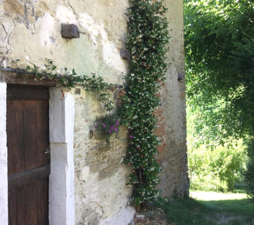 Photo of Buildings in Orbregno