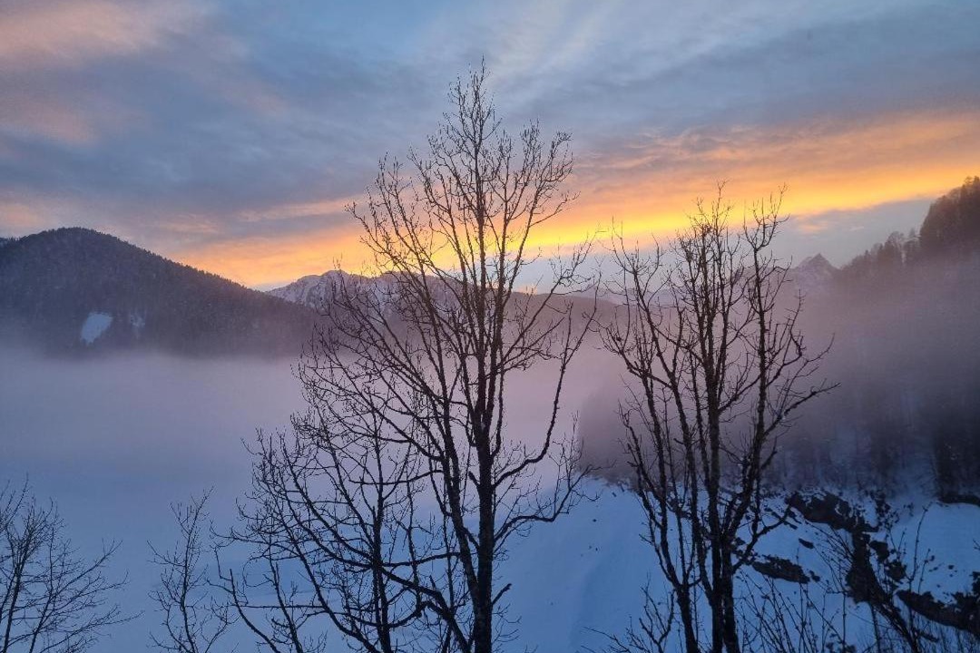 Photo of Others in Sauris
