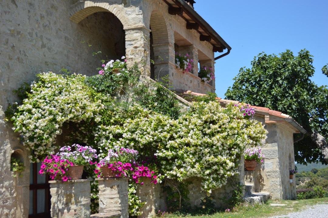 Photo of Others in Seggiano