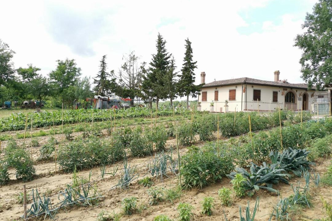 Photo of Others in Fauglia
