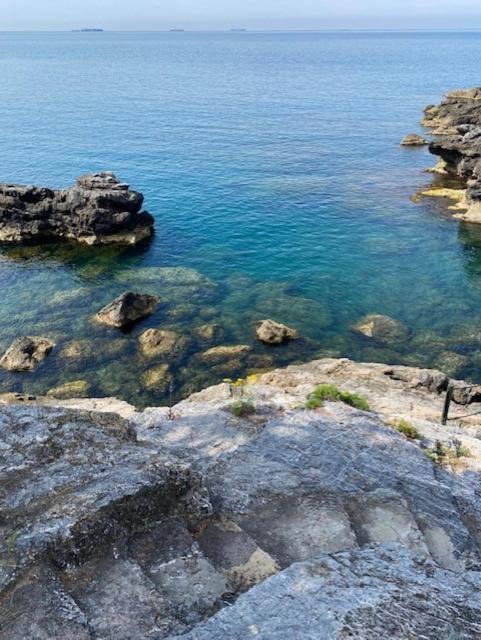 Photo of Outdoor in Fiascherino