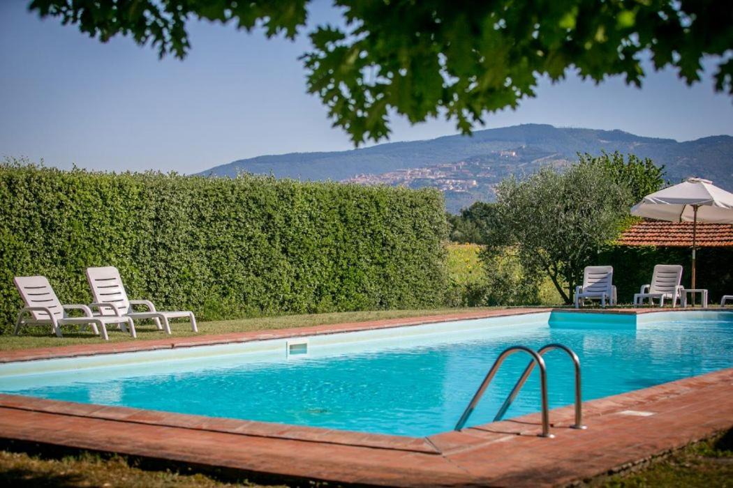 Photo of Outdoor in Ferretto