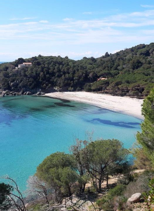Photo of Outdoor in Campo nell'Elba
