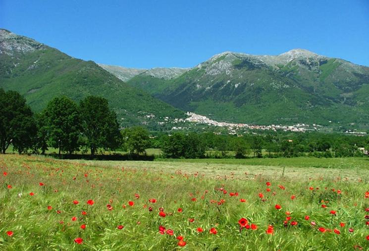 Photo of Others in San Donato Val Di Comino