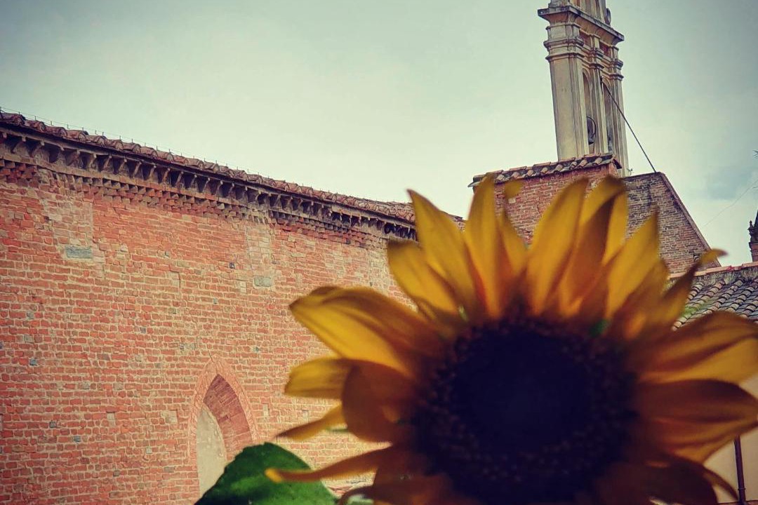 Photo of Others in Castelfiorentino