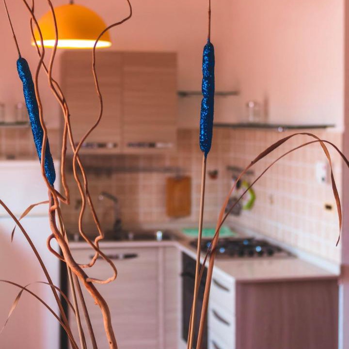 Photo of Kitchen in Torre Mozza