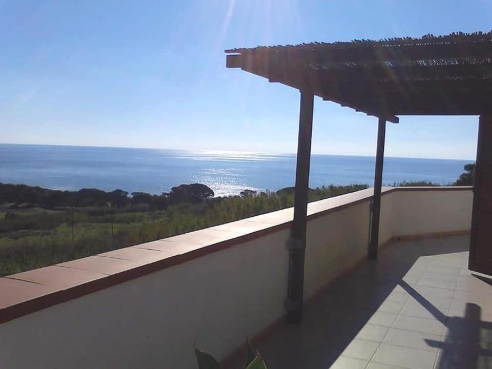 Photo of Others in Marinella di Selinunte