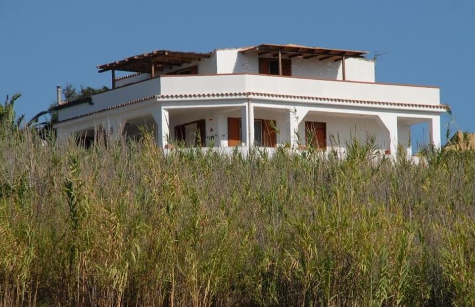 Photo of Others in Marinella di Selinunte