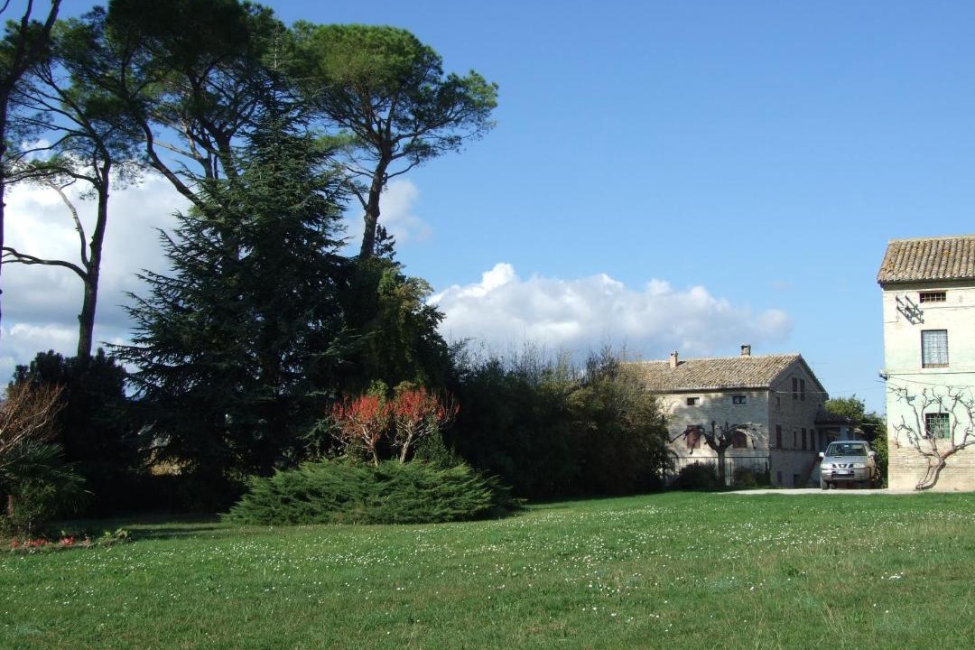 Photo of Buildings in Treia