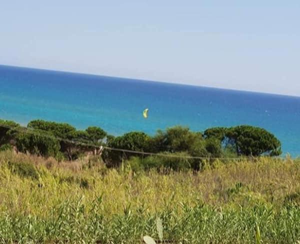 Photo of Others in Marinella di Selinunte
