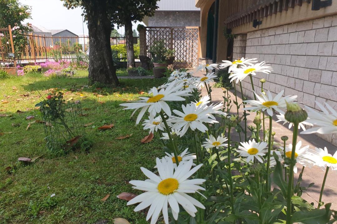 Photo of Others in Soresina