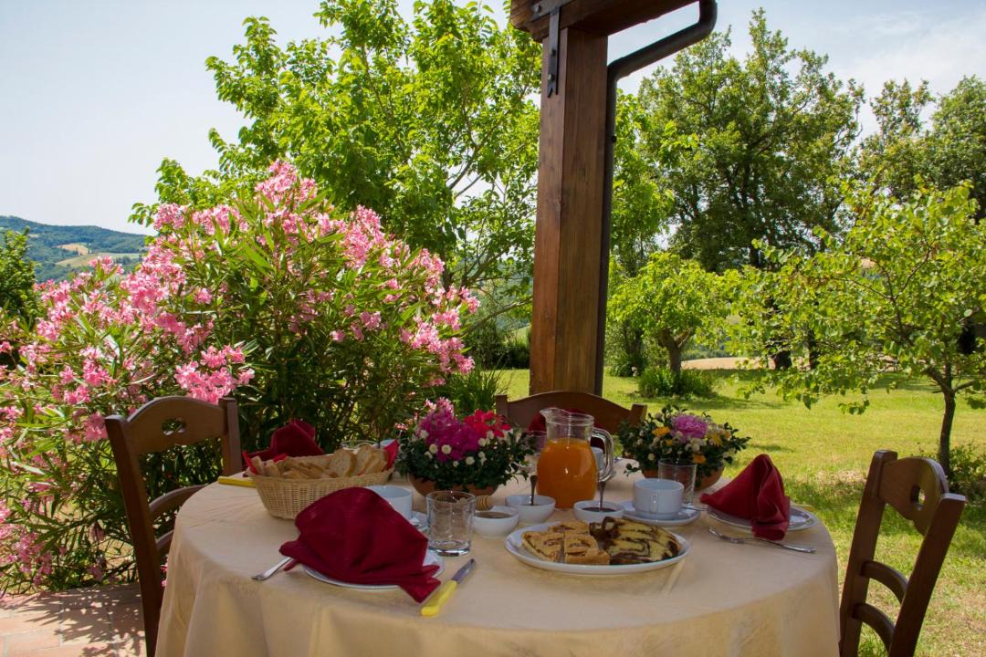 Photo of Others in Pergola