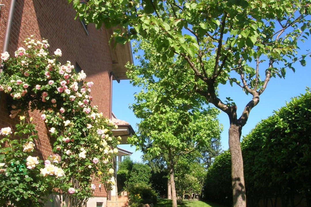 Photo of Others in Moncalieri