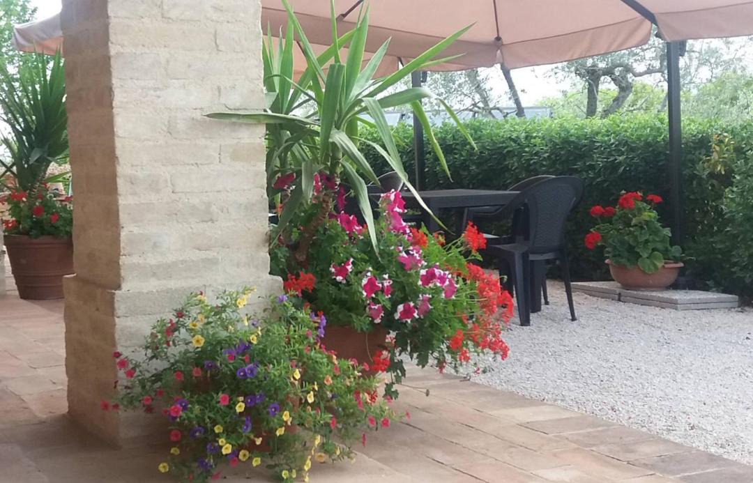 Photo of Others in Montefalco