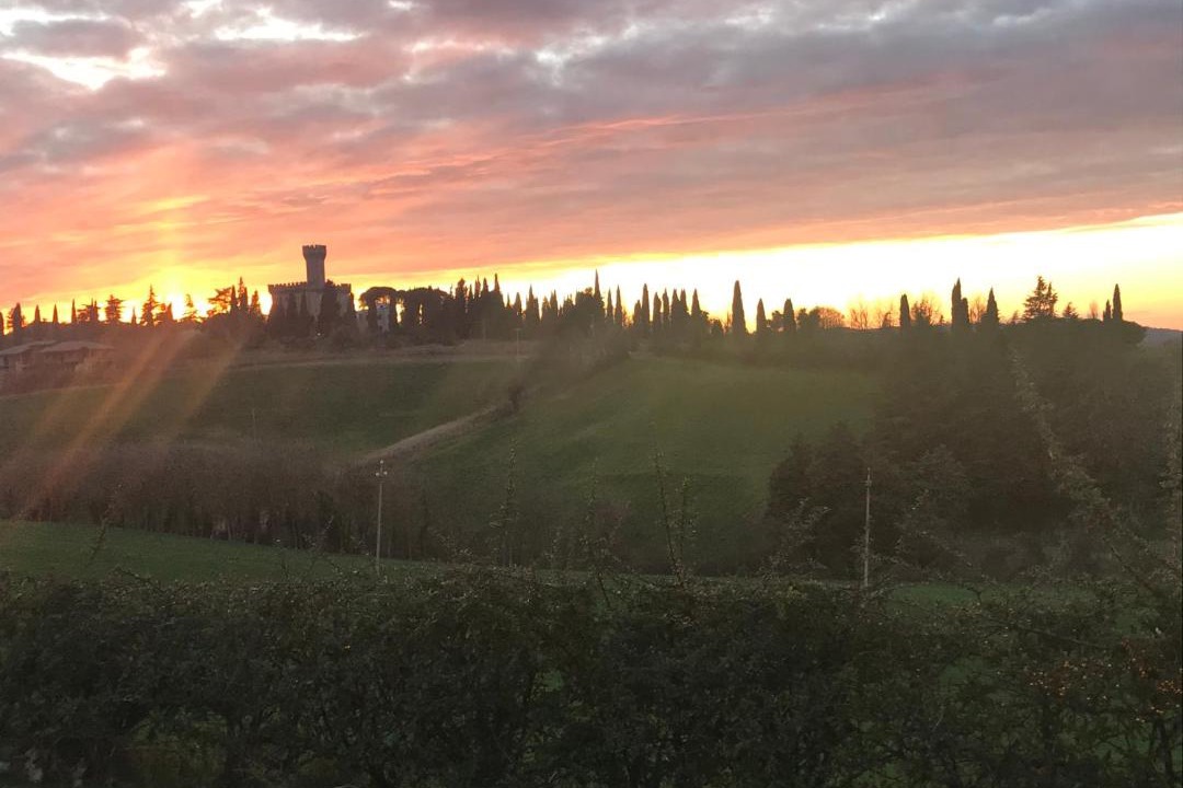 Photo of Others in Ozzano dell'Emilia