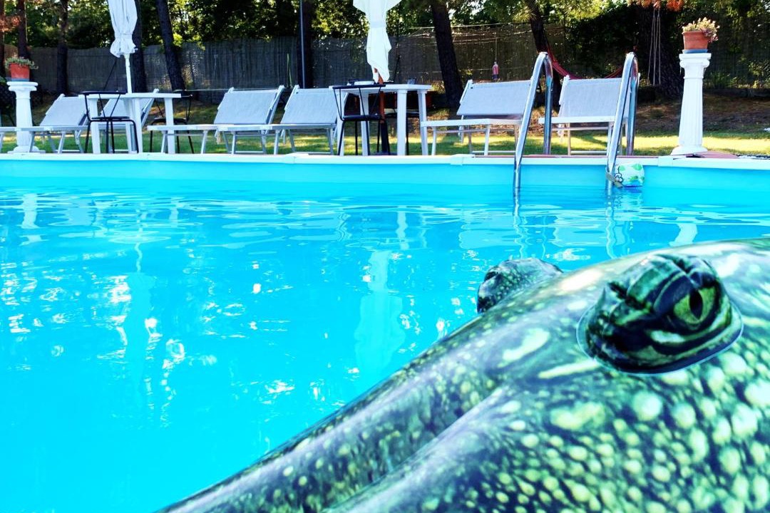 Photo of Outdoor in Gambassi Terme