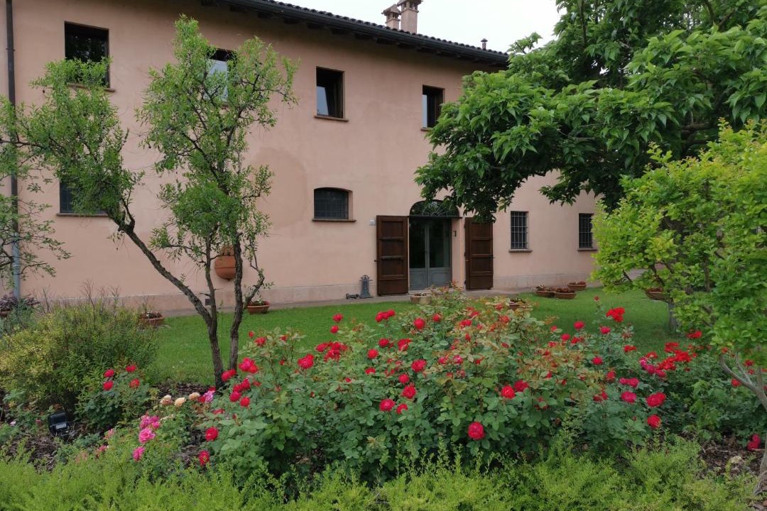 Photo of Buildings in Medicina
