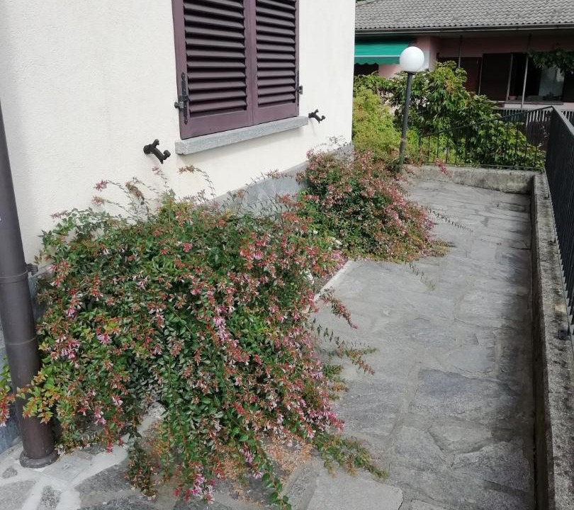 Photo of Buildings in Viconago