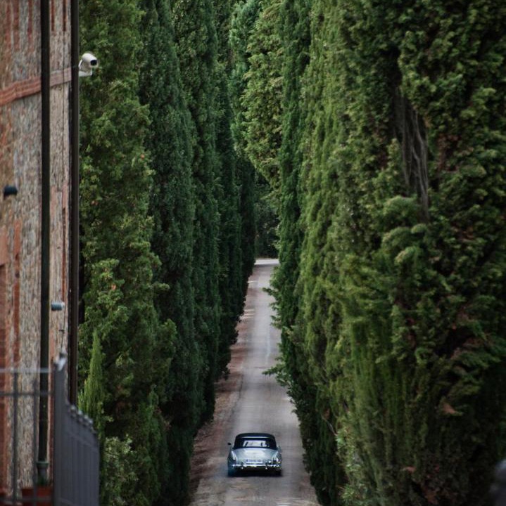 Photo of Others in Castelnuovo Berardenga