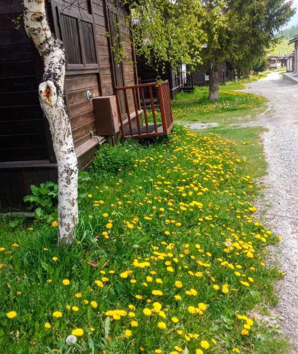 Photo of Others in Sestriere