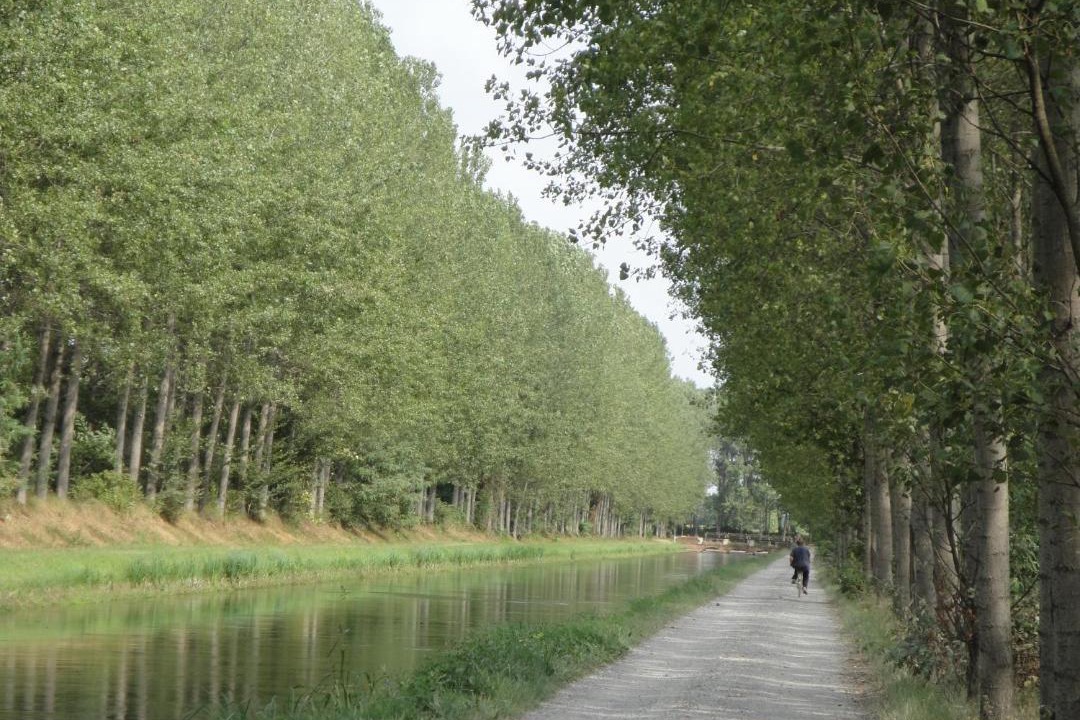 Photo of Outdoor in Castelleone
