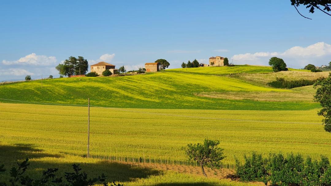 Photo of Others in Paciano