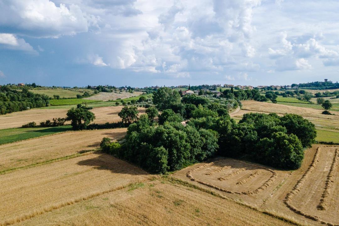 Photo of Others in Marciano della Chiana