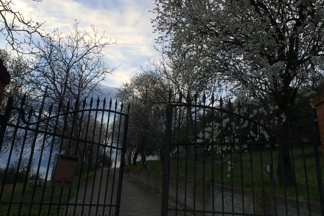 Photo of Buildings in Lozzo Atestino