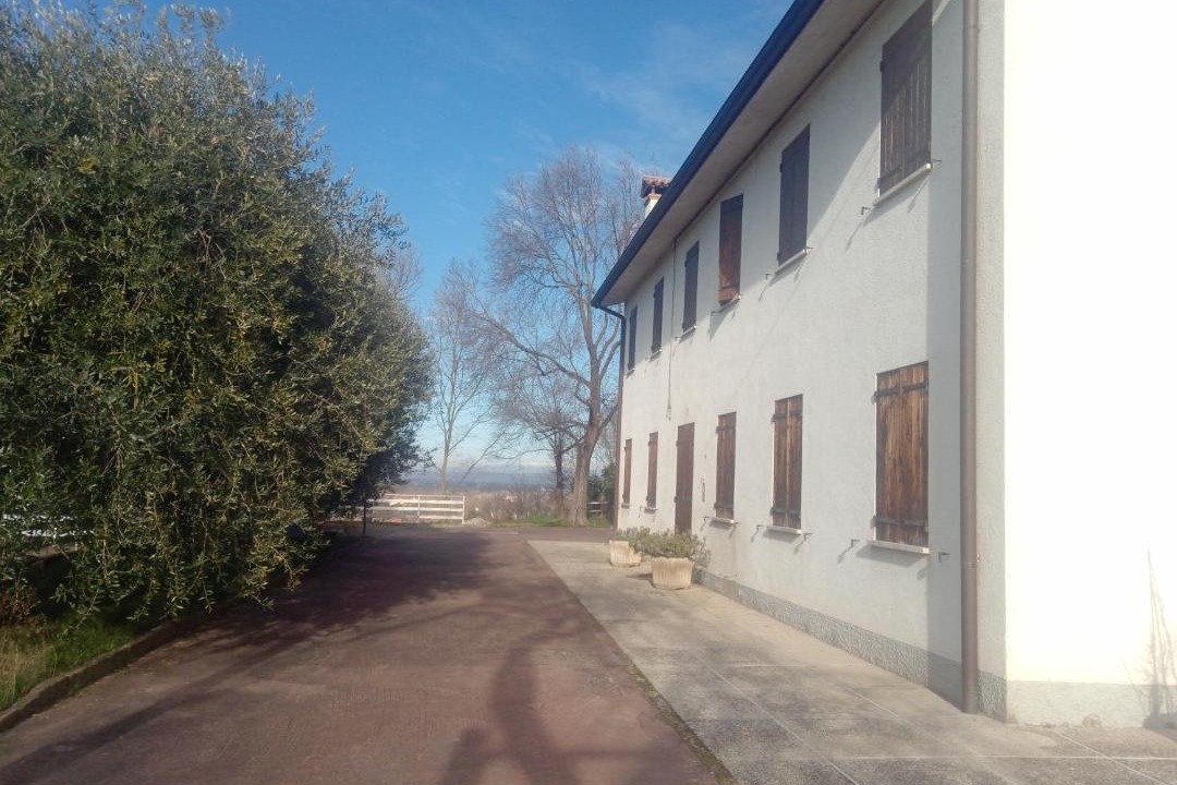 Photo of Others in Lozzo Atestino