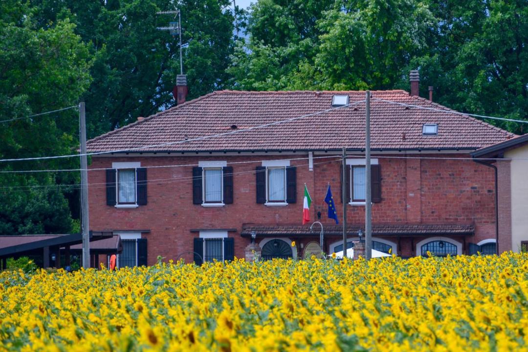 Photo of Others in Province of Bologna