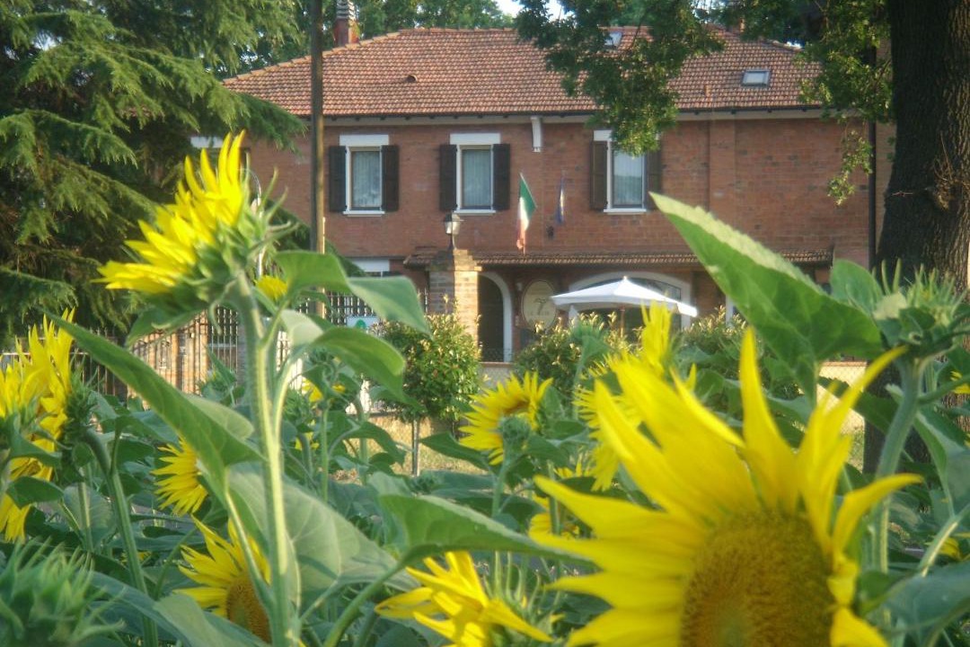 Photo of Others in Province of Bologna