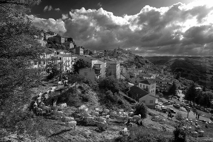 Photo of Others in Castropignano