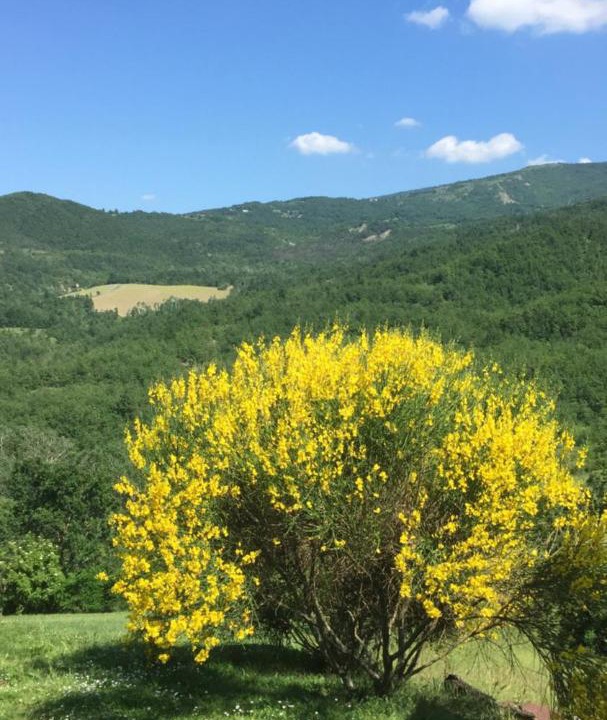 Photo of Outdoor in Dernice