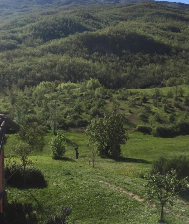 Photo of Outdoor in Dernice