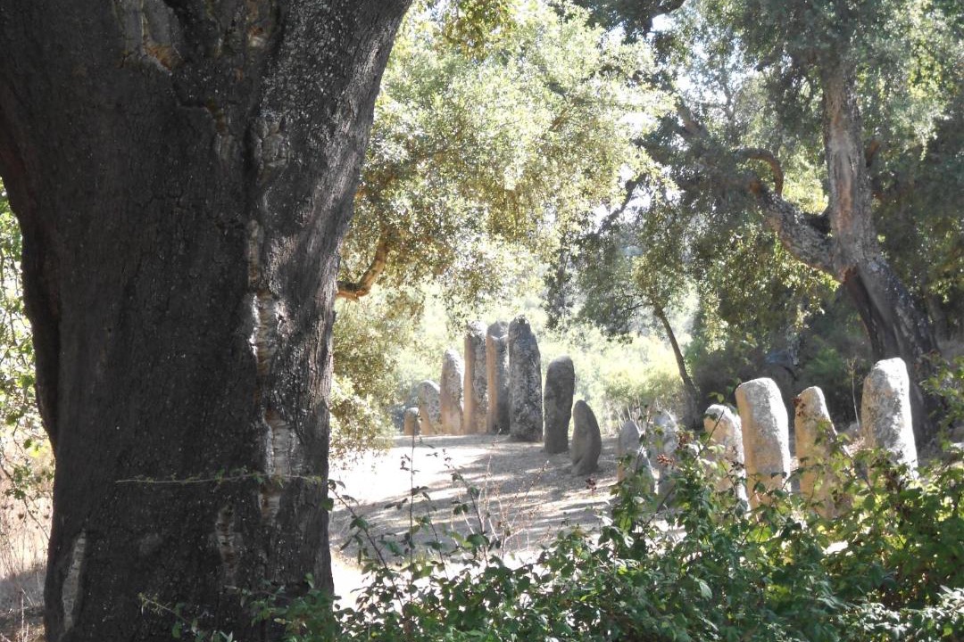 Photo of Others in Sorgono