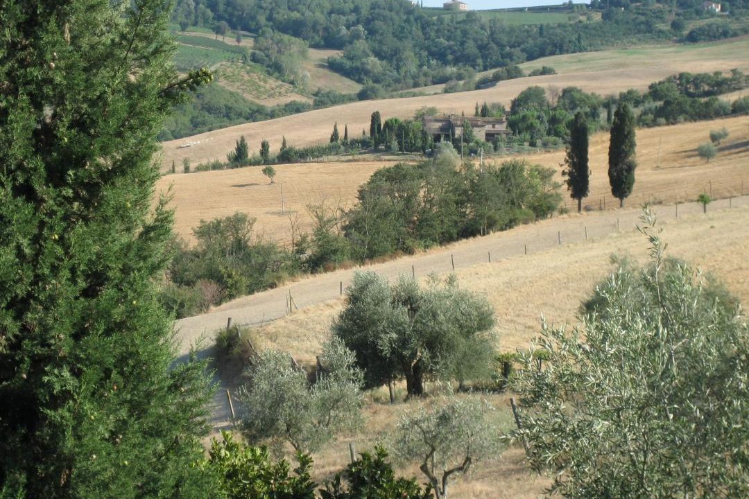 Photo of Others in Montepulciano
