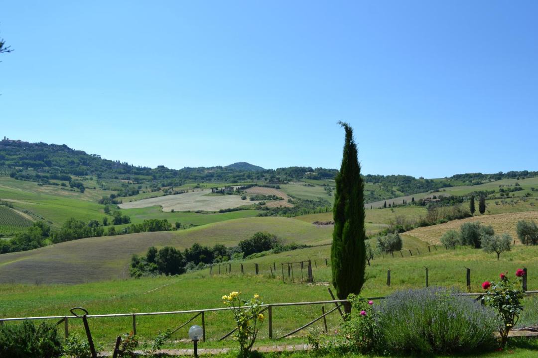Photo of Others in Montepulciano